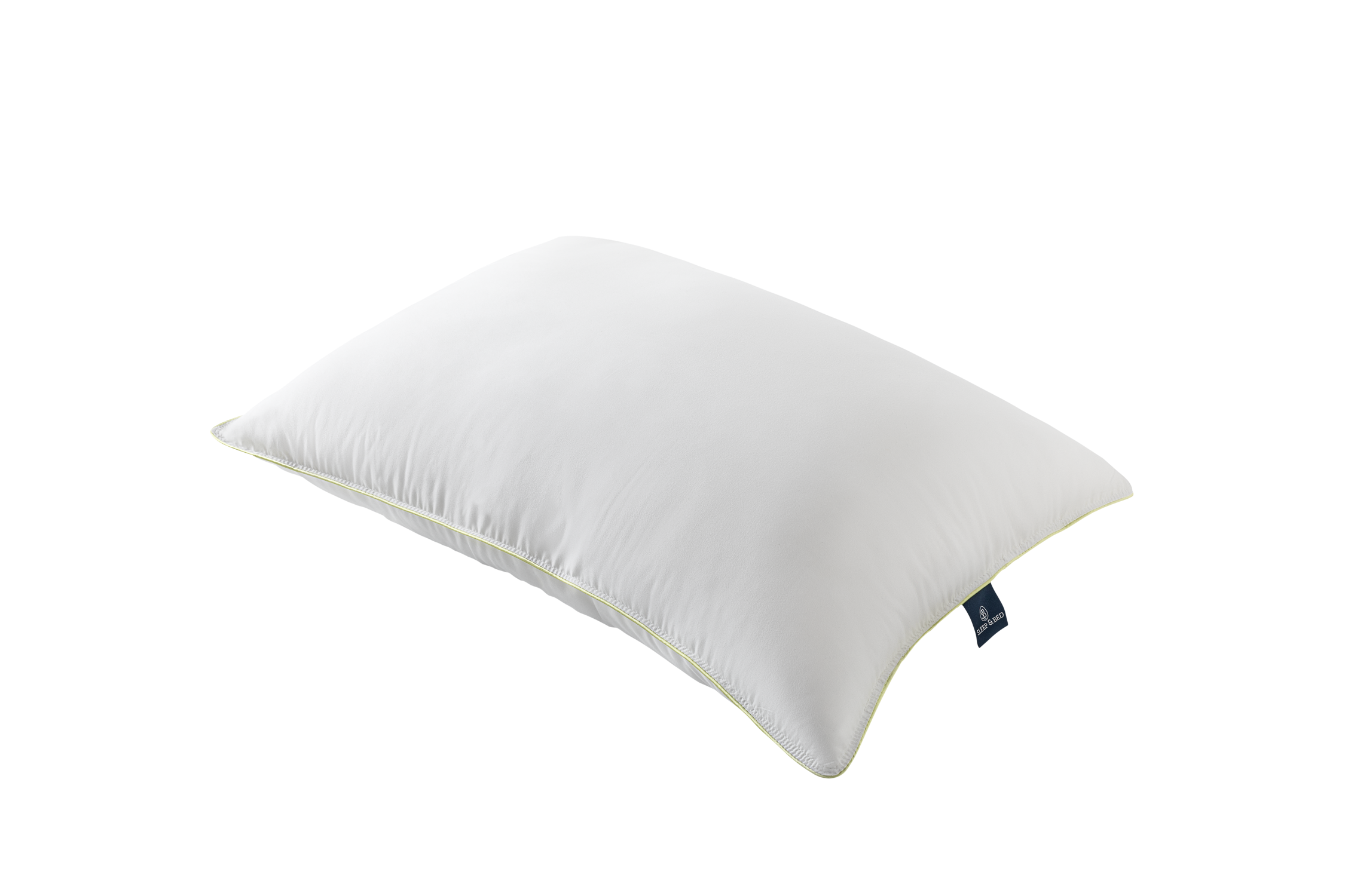 Aloevera Pillow